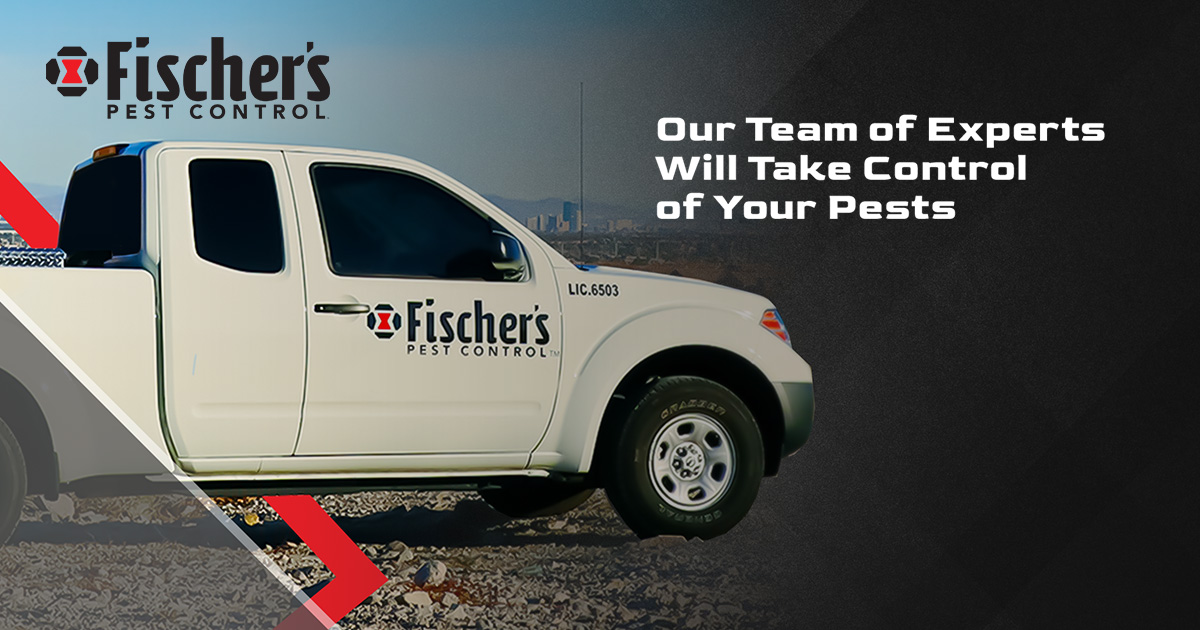Fischer's Pest Control