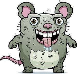 angry cartoon of rat