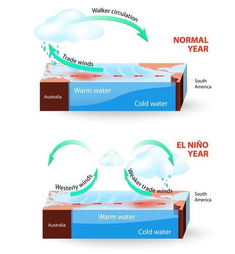 El nino comparisons